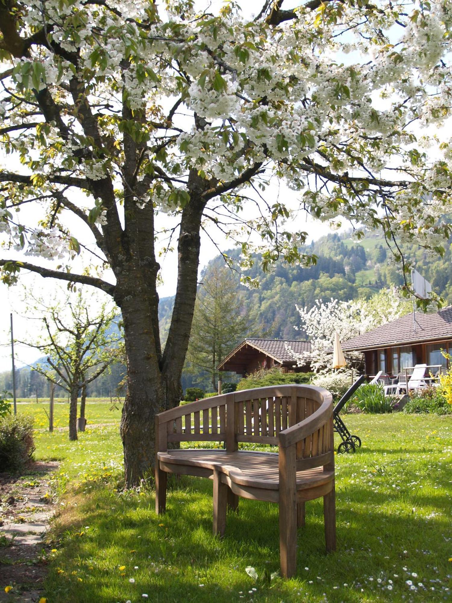 Salzano Basic Rooms Interlaken Kültér fotó