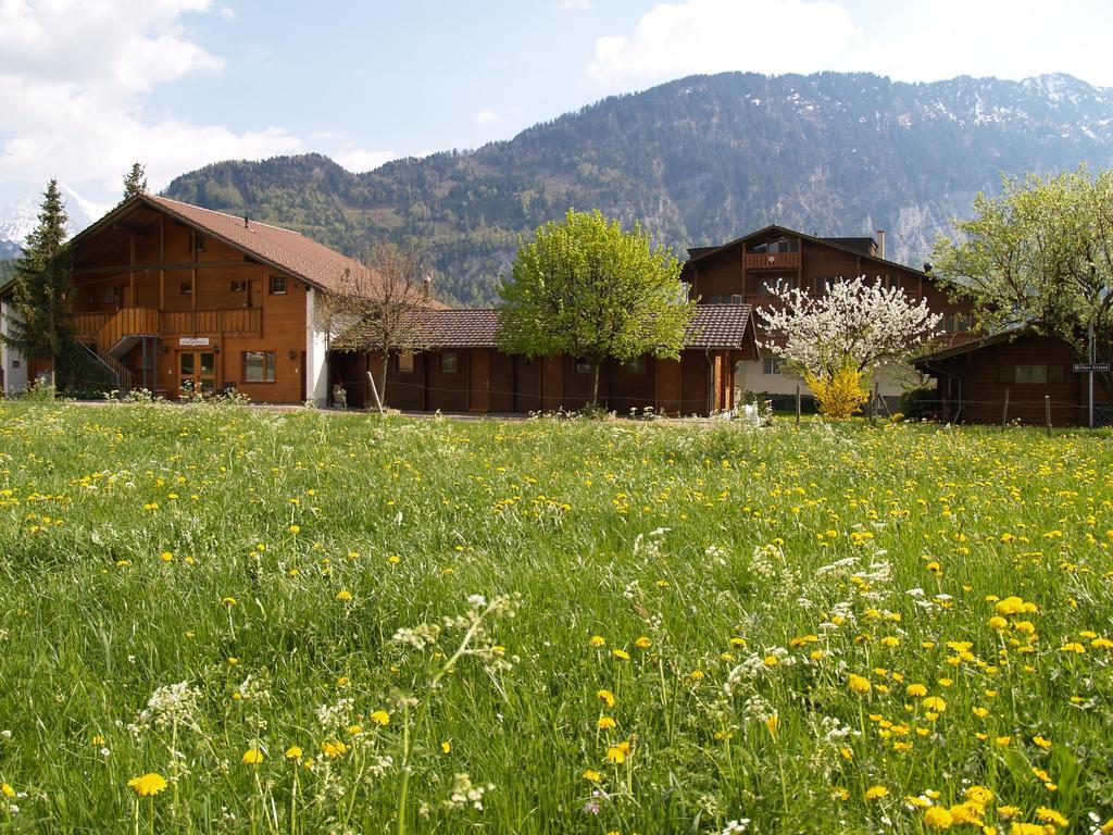 Salzano Basic Rooms Interlaken Szoba fotó